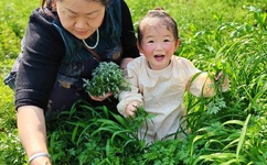 男孩子和男孩子做到哭图片